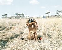 Art & Creativity: Christopher Gilbert work