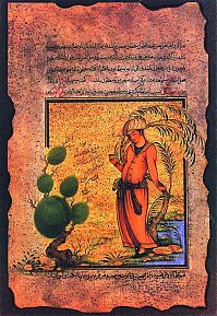 Art & Creativity: Persian miniatures