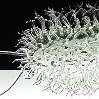 TopRq.com search results: viruses art