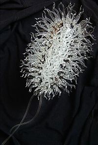 TopRq.com search results: viruses art