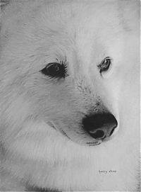 Art & Creativity: pencil drawing