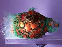 Art & Creativity: High-speed photography art with Nikon D40