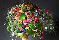 Art & Creativity: High-speed photography art with Nikon D40