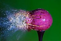 Art & Creativity: High-speed photography art with Nikon D40