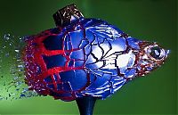 Art & Creativity: High-speed photography art with Nikon D40