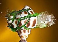 Art & Creativity: High-speed photography art with Nikon D40