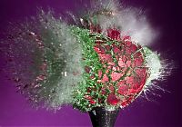 Art & Creativity: High-speed photography art with Nikon D40