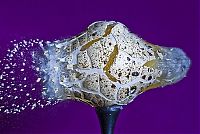 Art & Creativity: High-speed photography art with Nikon D40