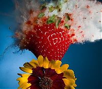 Art & Creativity: High-speed photography art with Nikon D40