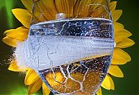 Art & Creativity: High-speed photography art with Nikon D40