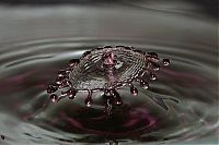 TopRq.com search results: water drops high-speed photography