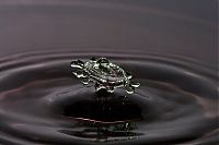 Art & Creativity: water drops high-speed photography