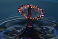 Art & Creativity: water drops high-speed photography