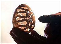 Art & Creativity: Egg shell art