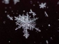 Art & Creativity: snow flakes