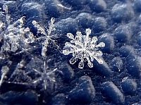 Art & Creativity: snow flakes