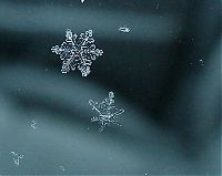 Art & Creativity: snow flakes