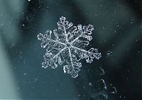 Art & Creativity: snow flakes