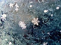 Art & Creativity: snow flakes