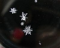 Art & Creativity: snow flakes