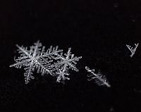 Art & Creativity: snow flakes