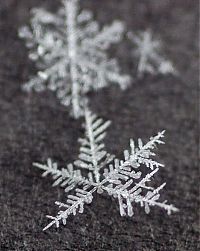 Art & Creativity: snow flakes