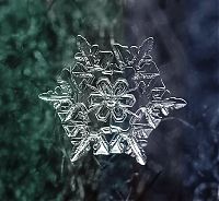 Art & Creativity: snow flakes