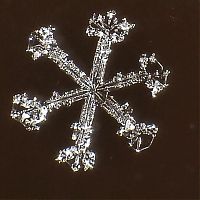 Art & Creativity: snow flakes