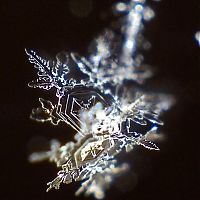 Art & Creativity: snow flakes