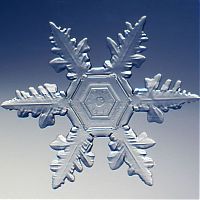 Art & Creativity: snow flakes