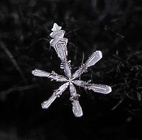 Art & Creativity: snow flakes