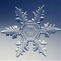 TopRq.com search results: snow flakes
