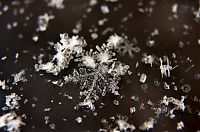 Art & Creativity: snow flakes