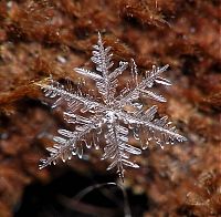 Art & Creativity: snow flakes