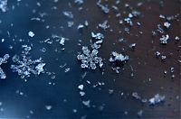 Art & Creativity: snow flakes