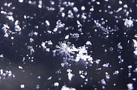 Art & Creativity: snow flakes