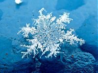 Art & Creativity: snow flakes