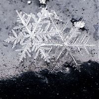 Art & Creativity: snow flakes