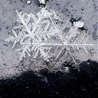 TopRq.com search results: snow flakes