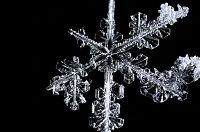 Art & Creativity: snow flakes