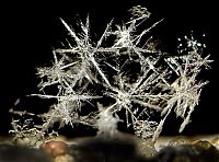 Art & Creativity: snow flakes