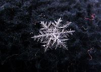 Art & Creativity: snow flakes