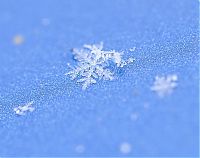 Art & Creativity: snow flakes