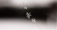 Art & Creativity: snow flakes