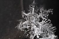 Art & Creativity: snow flakes