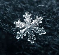 Art & Creativity: snow flakes