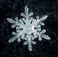 Art & Creativity: snow flakes