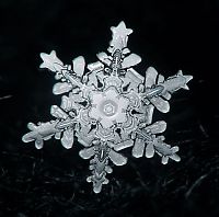 Art & Creativity: snow flakes