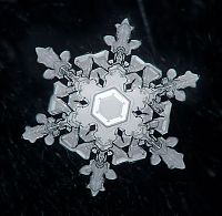 Art & Creativity: snow flakes