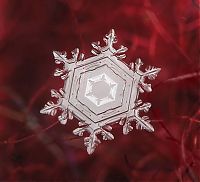 Art & Creativity: snow flakes